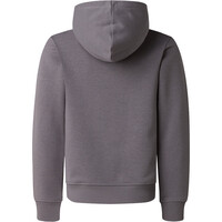 The North Face sudadera niño B LIQUID LOGO REG HOODIE 03