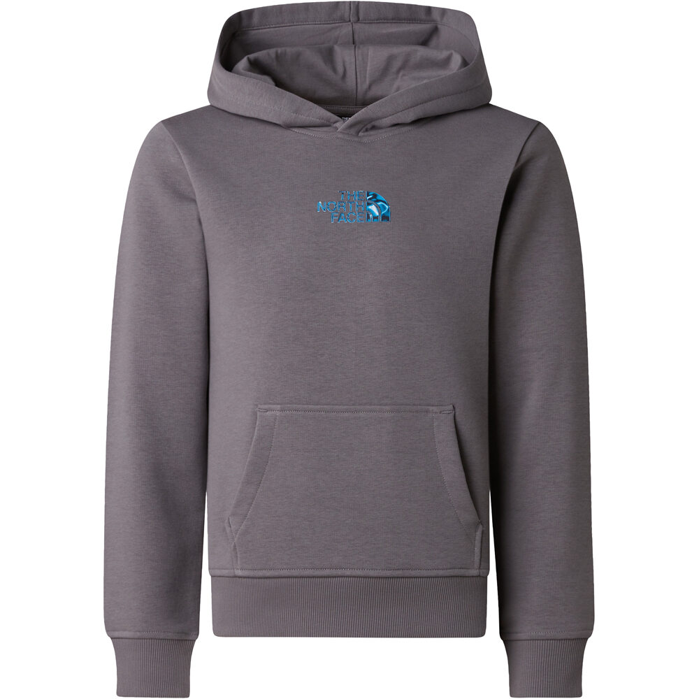 The North Face sudadera niño B LIQUID LOGO REG HOODIE vista detalle