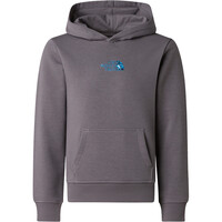 The North Face sudadera niño B LIQUID LOGO REG HOODIE vista detalle