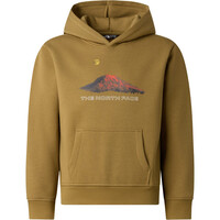 The North Face sudadera niño B MOUNTAIN NIGHT RELAXED HOODIE vista detalle