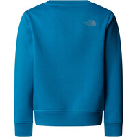 The North Face sudadera niño B REFLECTIVE LOGO RELAXED CREW 03