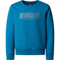 The North Face sudadera niño B REFLECTIVE LOGO RELAXED CREW vista detalle