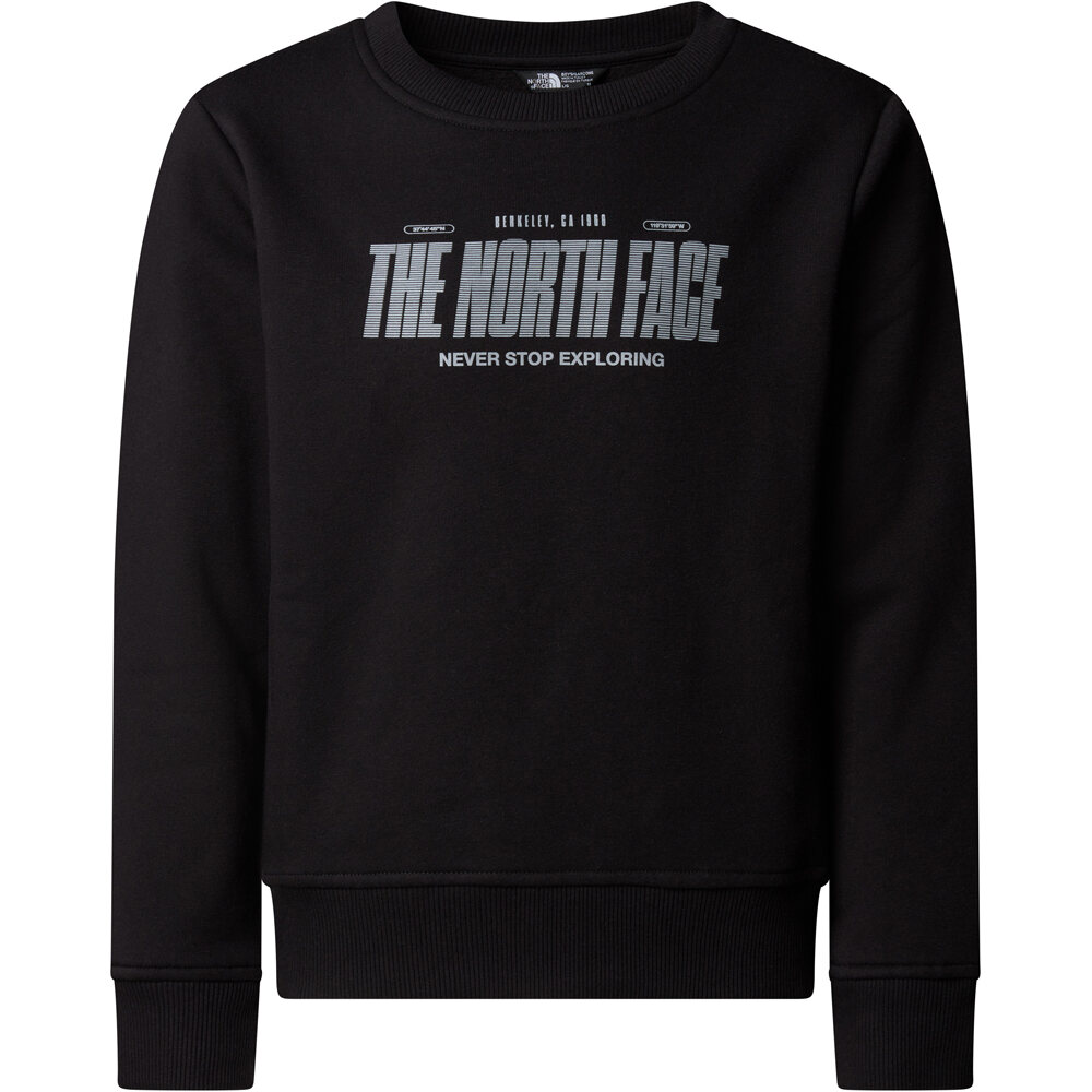 The North Face sudadera niño B REFLECTIVE LOGO RELAXED CREW vista detalle