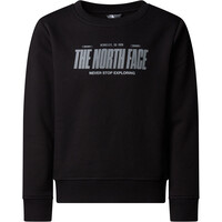 The North Face sudadera niño B REFLECTIVE LOGO RELAXED CREW vista detalle