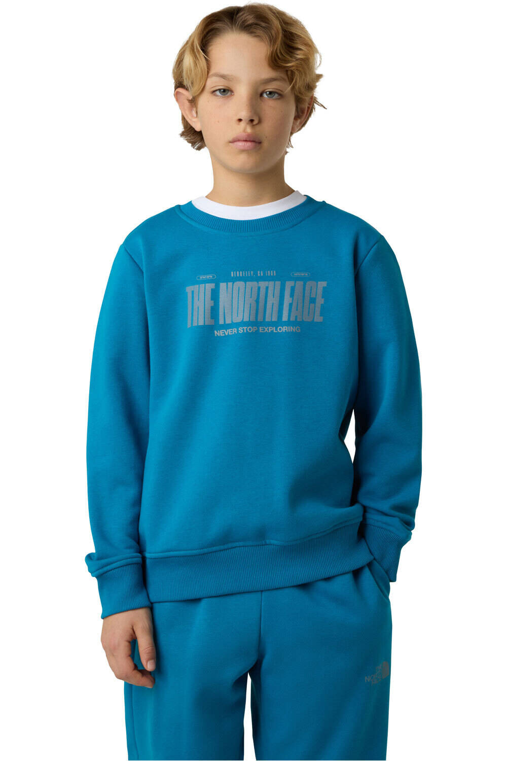 The North Face sudadera niño B REFLECTIVE LOGO RELAXED CREW vista frontal