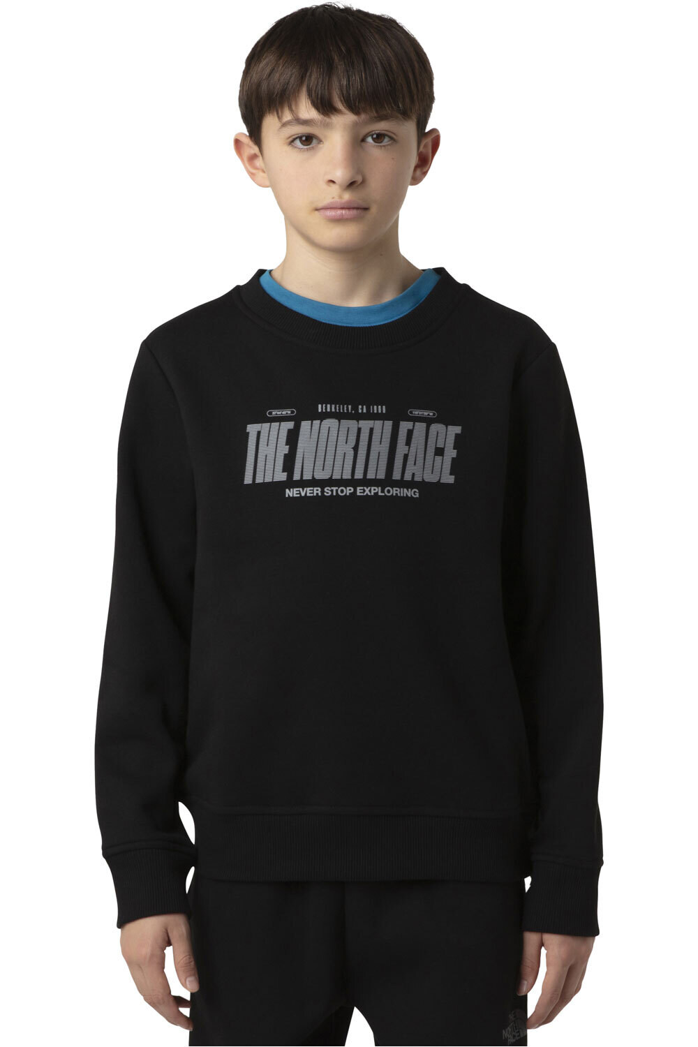 The North Face sudadera niño B REFLECTIVE LOGO RELAXED CREW vista frontal