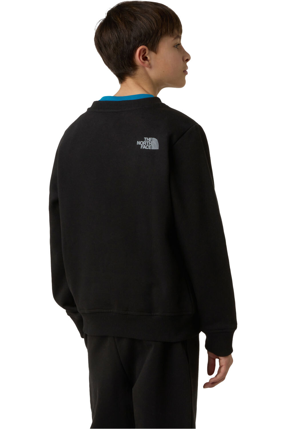 The North Face sudadera niño B REFLECTIVE LOGO RELAXED CREW vista trasera