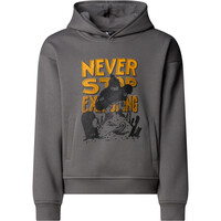 The North Face sudadera niño B SPORTS OVERSIZED HOODIE - GRAPHIC vista detalle
