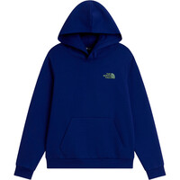 The North Face sudadera niño TEEN B OUTDOOR REGULAR HOODIE - GRAPHIC vista detalle