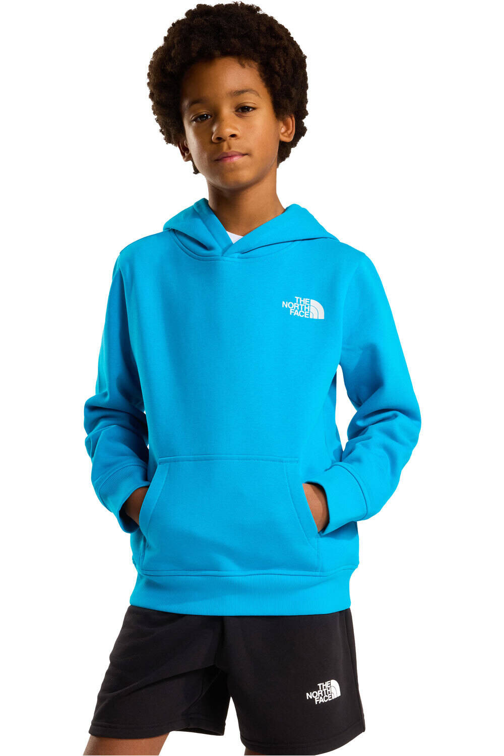 The North Face sudadera niño TEEN BOX NSE REGULAR HOODIE vista frontal