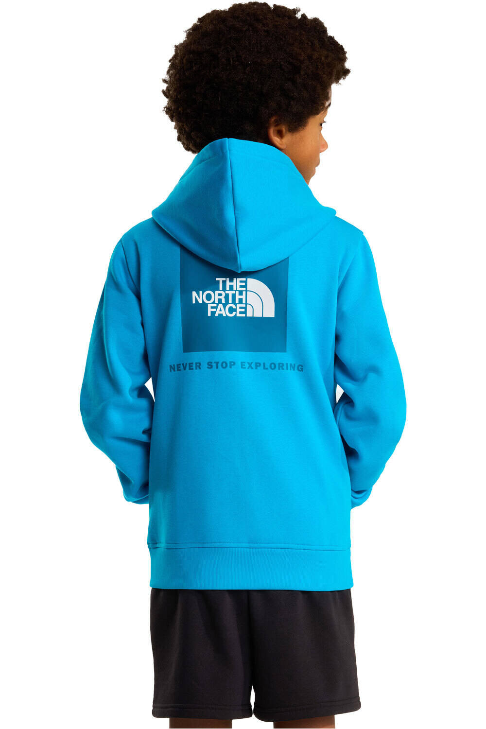 The North Face sudadera niño TEEN BOX NSE REGULAR HOODIE vista trasera