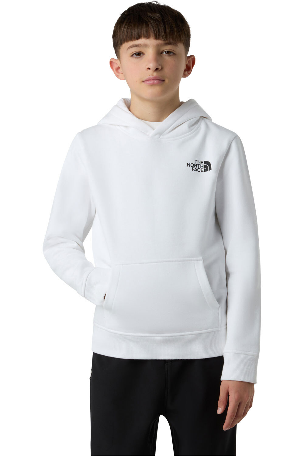 The North Face sudadera niño TEEN BOX NSE REGULAR PULLOVER HOODIE vista frontal