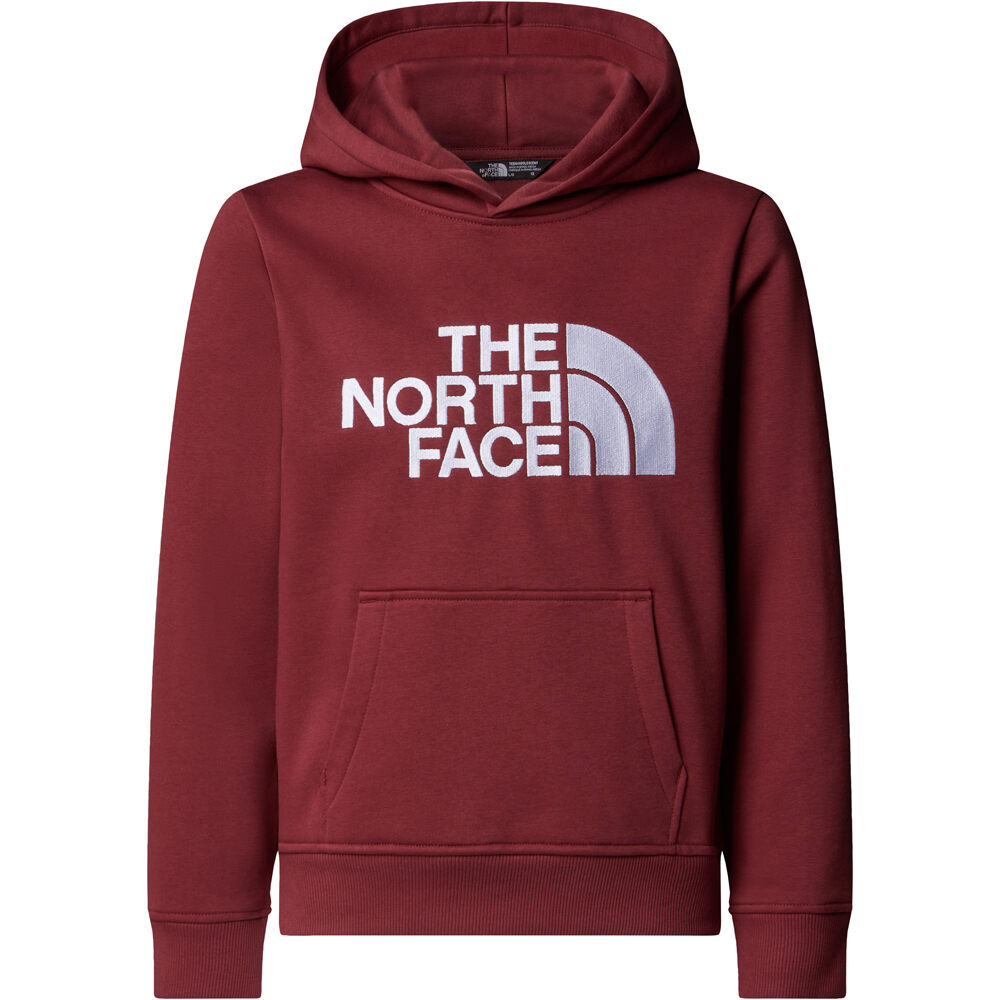 The North Face sudadera niño TEEN DREW PEAK PULLOVER HOODIE vista detalle
