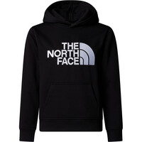 The North Face sudadera niño TEEN DREW PEAK PULLOVER HOODIE vista detalle