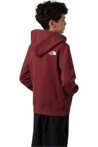 The North Face sudadera niño TEEN DREW PEAK PULLOVER HOODIE vista trasera