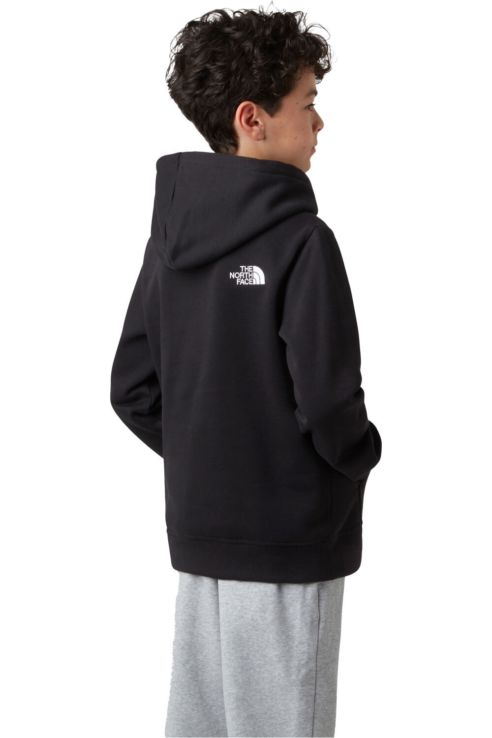The North Face sudadera niño TEEN DREW PEAK PULLOVER HOODIE vista trasera