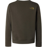 The North Face sudadera niño TEEN DREW PEAK REG CW 03