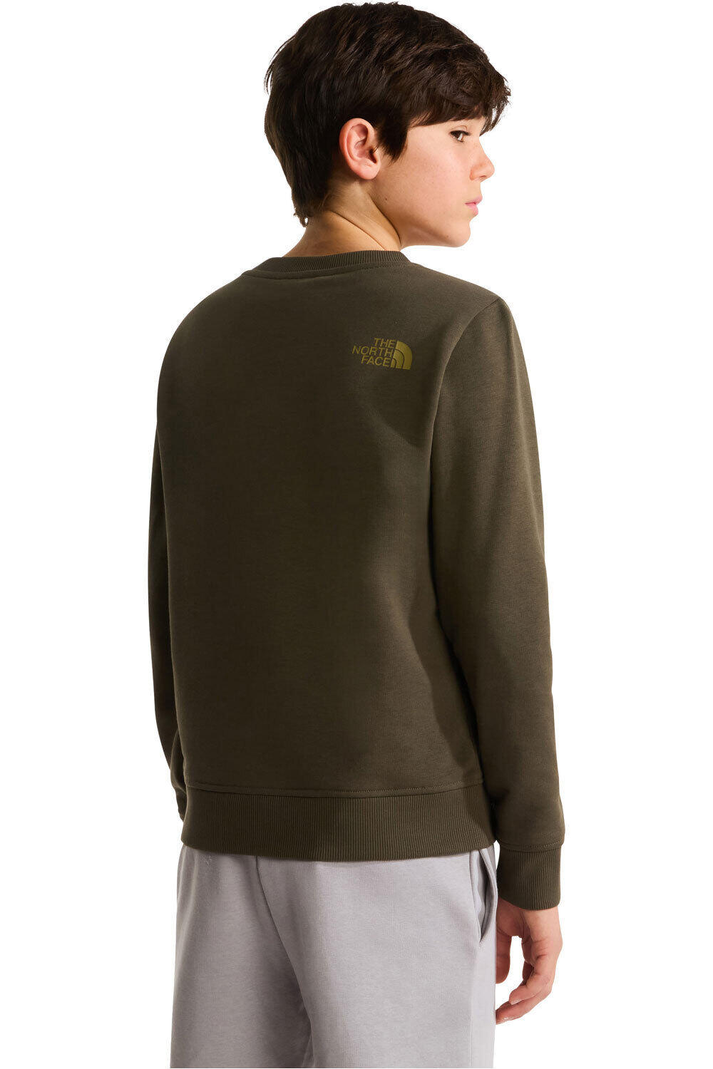 The North Face sudadera niño TEEN DREW PEAK REG CW vista trasera