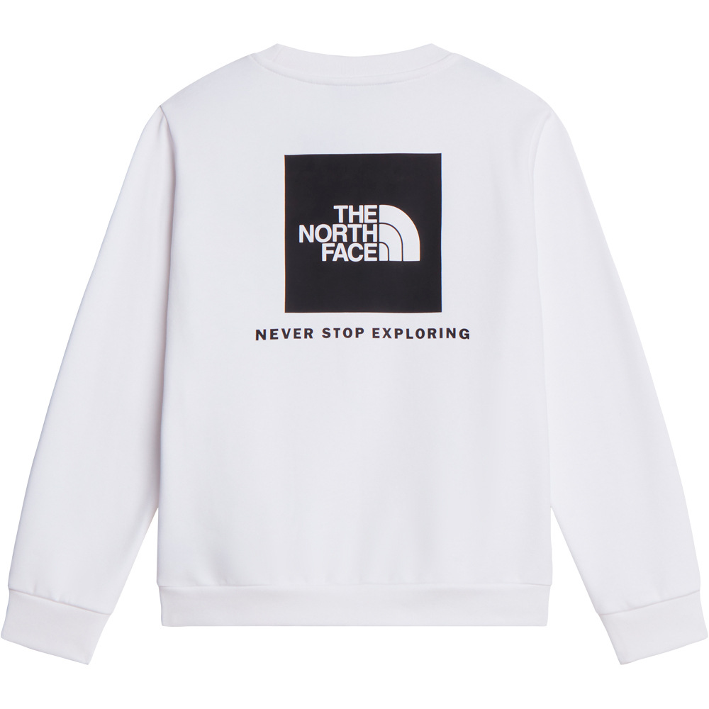 The North Face sudadera niño TEEN EVOLUTION BOX NSE CREW 03