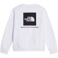 The North Face sudadera niño TEEN EVOLUTION BOX NSE CREW 03