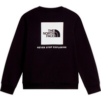The North Face sudadera niño TEEN EVOLUTION BOX NSE CREW 03