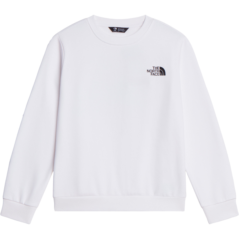 The North Face sudadera niño TEEN EVOLUTION BOX NSE CREW vista detalle