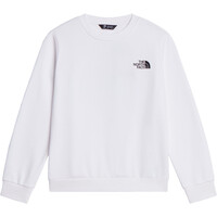 The North Face sudadera niño TEEN EVOLUTION BOX NSE CREW vista detalle