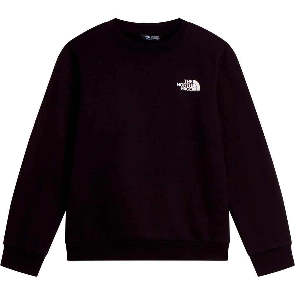 The North Face sudadera niño TEEN EVOLUTION BOX NSE CREW vista detalle
