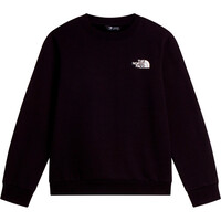 The North Face sudadera niño TEEN EVOLUTION BOX NSE CREW vista detalle