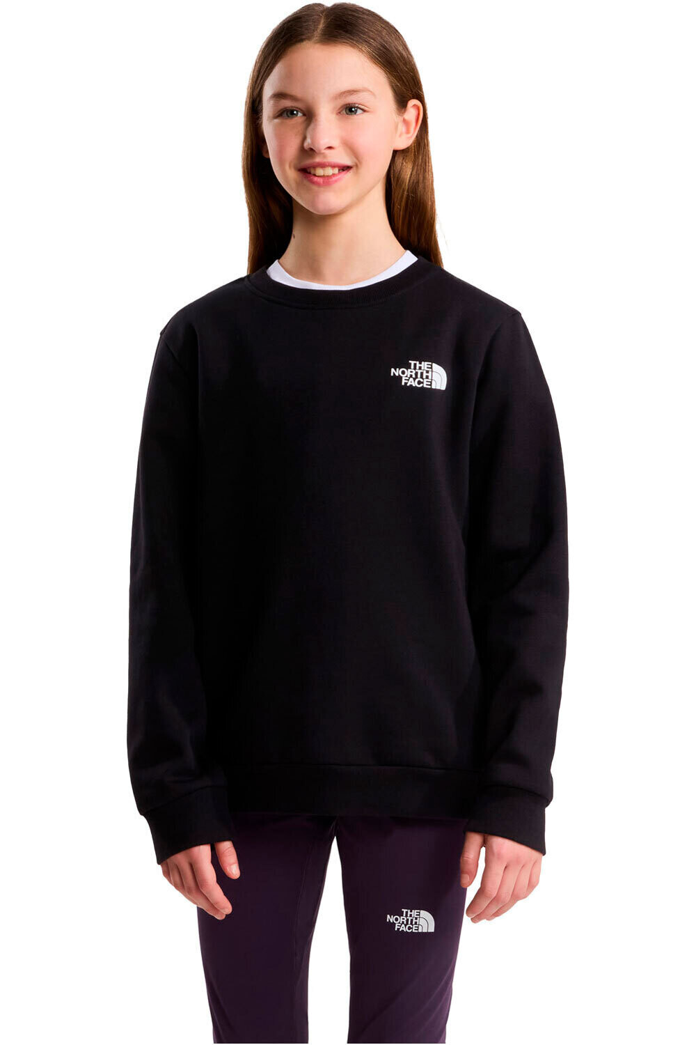 The North Face sudadera niño TEEN EVOLUTION BOX NSE CREW vista frontal