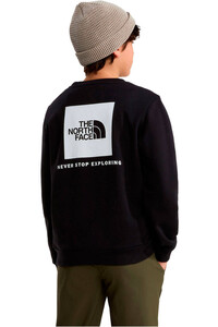The North Face sudadera niño TEEN EVOLUTION BOX NSE CREW vista trasera