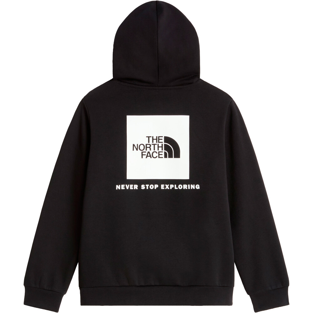 The North Face sudadera niño TEEN EVOLUTION BOX NSE PULLOVER HOODIE 03