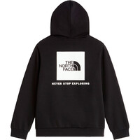 The North Face sudadera niño TEEN EVOLUTION BOX NSE PULLOVER HOODIE 03