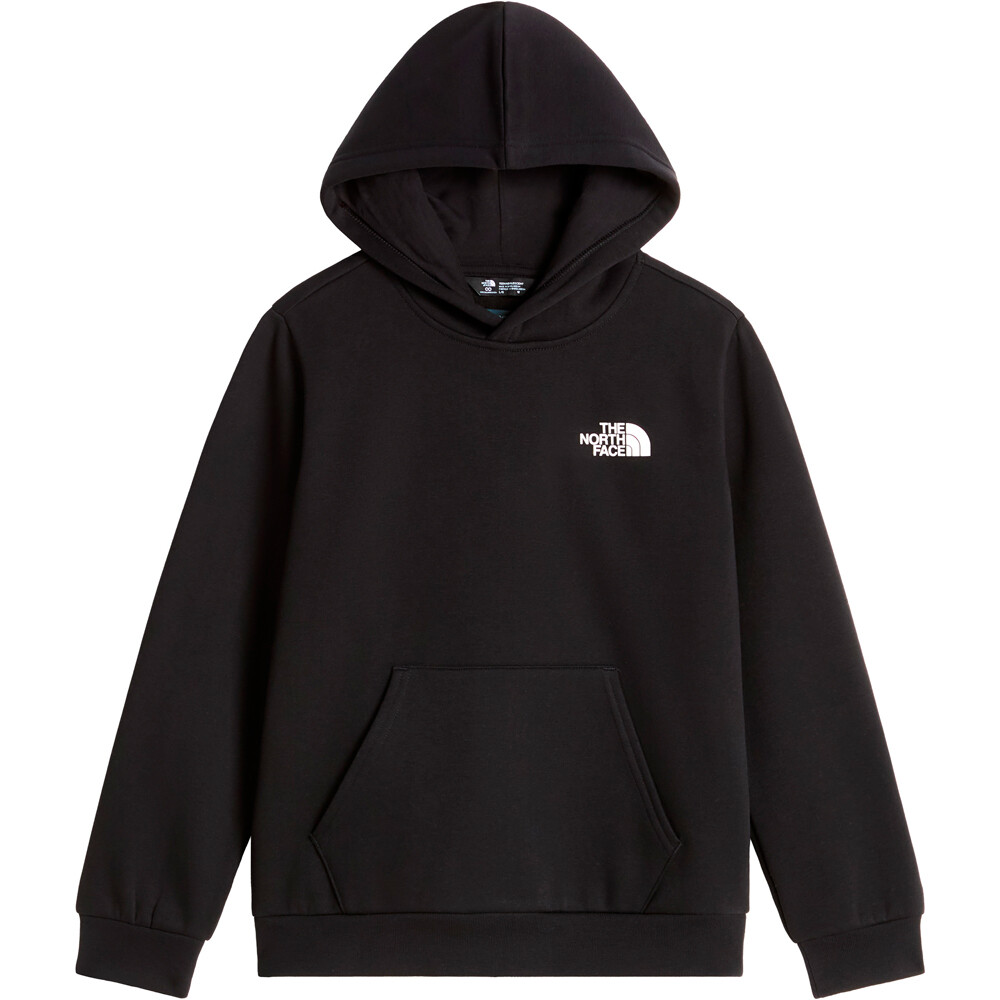 The North Face sudadera niño TEEN EVOLUTION BOX NSE PULLOVER HOODIE vista detalle