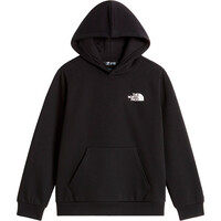 The North Face sudadera niño TEEN EVOLUTION BOX NSE PULLOVER HOODIE vista detalle