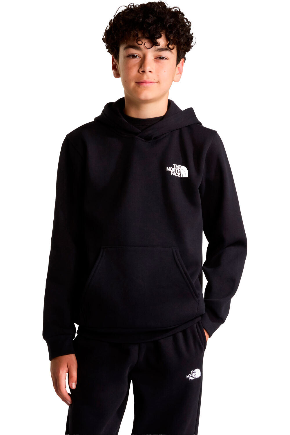 The North Face sudadera niño TEEN EVOLUTION BOX NSE PULLOVER HOODIE vista frontal