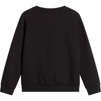 The North Face sudadera niño TEEN EVOLUTION SIMPLE DOME CREW 03