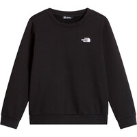 The North Face sudadera niño TEEN EVOLUTION SIMPLE DOME CREW vista detalle