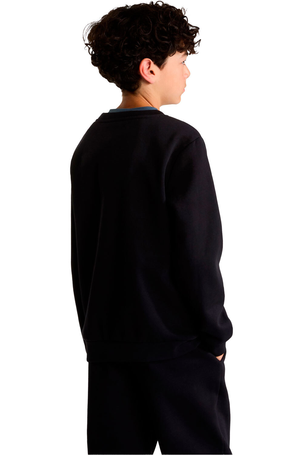The North Face sudadera niño TEEN EVOLUTION SIMPLE DOME CREW vista trasera