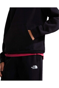 The North Face sudadera niño TEEN EVOLUTION SIMPLE DOME PULLOVER HOOD 03