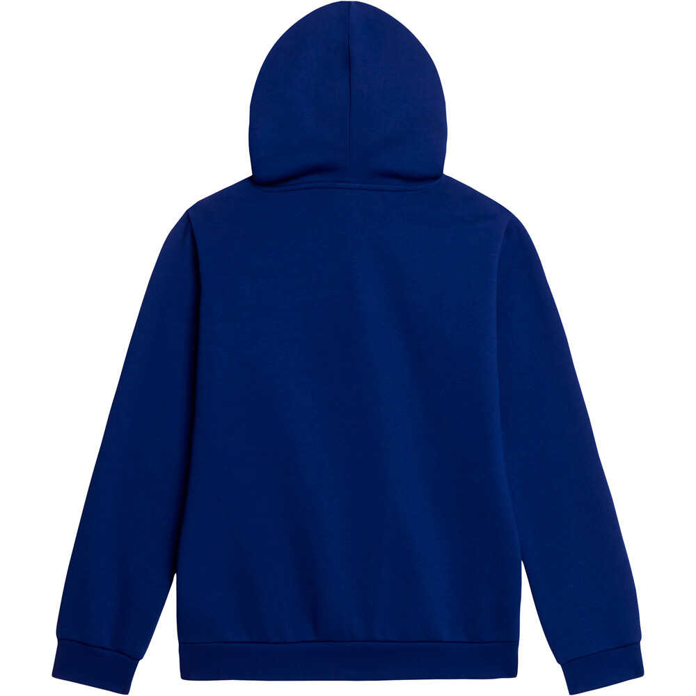 The North Face sudadera niño TEEN EVOLUTION SIMPLE DOME PULLOVER HOOD 03