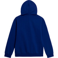 The North Face sudadera niño TEEN EVOLUTION SIMPLE DOME PULLOVER HOOD 03