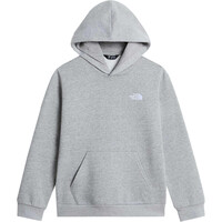 TEEN EVOLUTION SIMPLE DOME PULLOVER HOOD