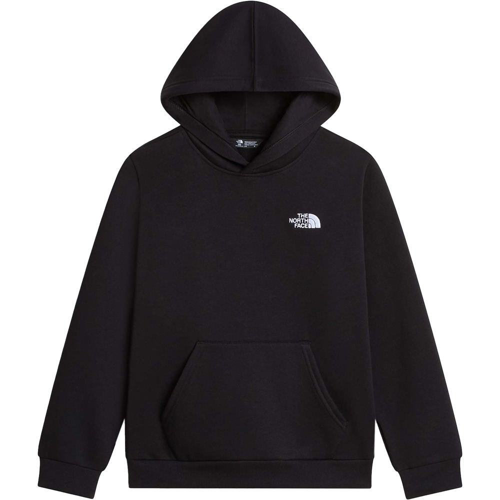 The North Face sudadera niño TEEN EVOLUTION SIMPLE DOME PULLOVER HOOD 04