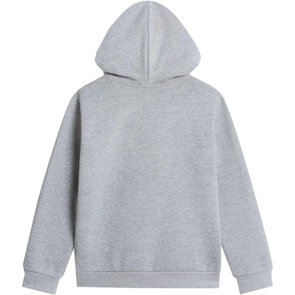 The North Face sudadera niño TEEN EVOLUTION SIMPLE DOME PULLOVER HOOD 05