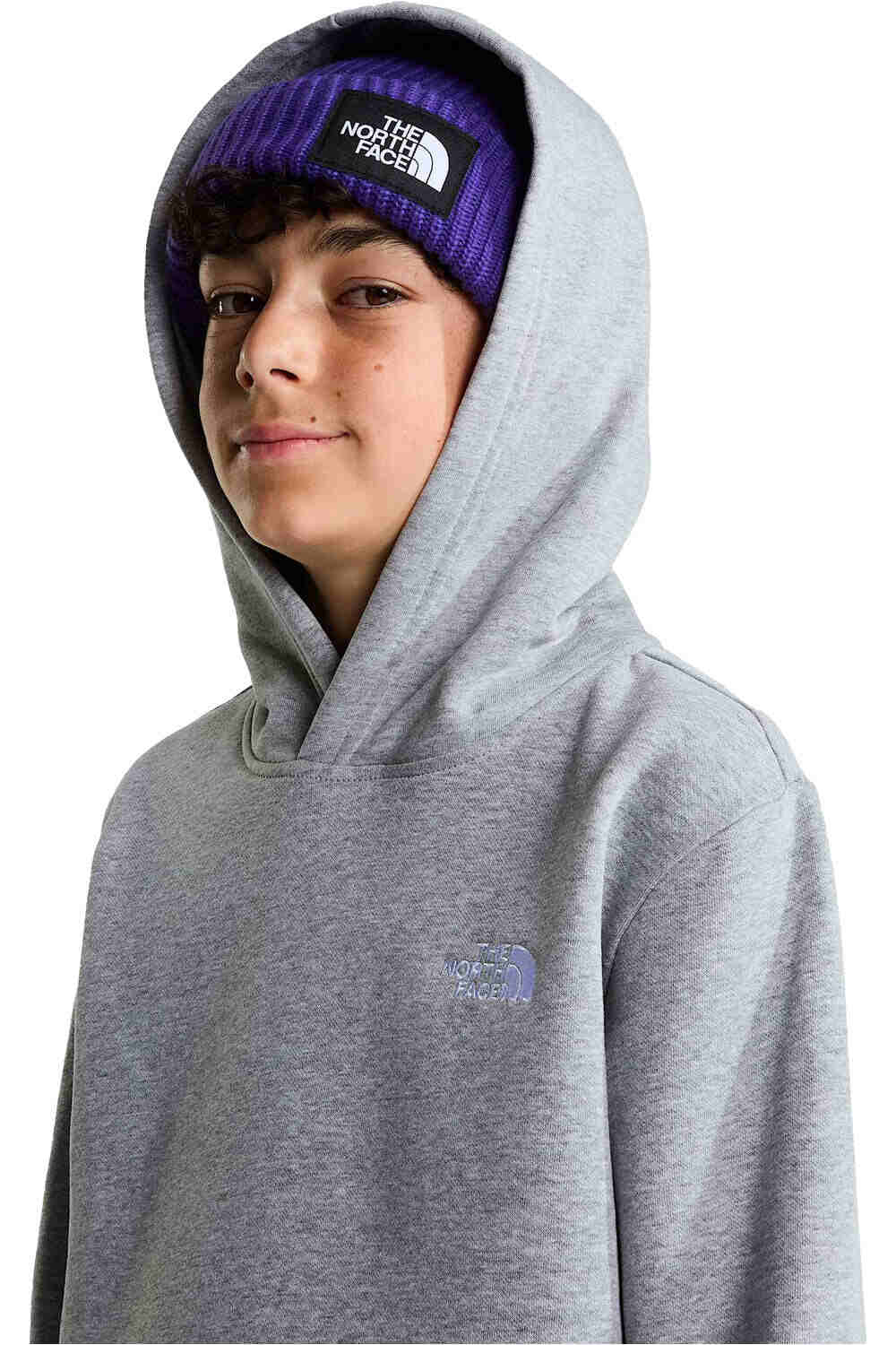 The North Face sudadera niño TEEN EVOLUTION SIMPLE DOME PULLOVER HOOD vista detalle