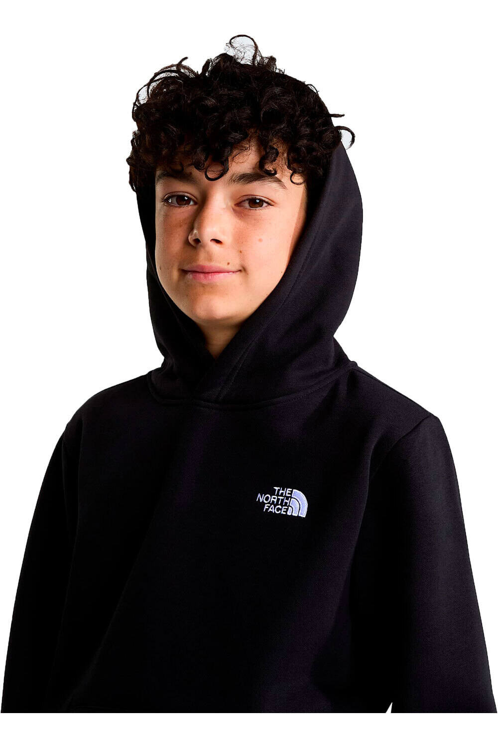 The North Face sudadera niño TEEN EVOLUTION SIMPLE DOME PULLOVER HOOD vista detalle