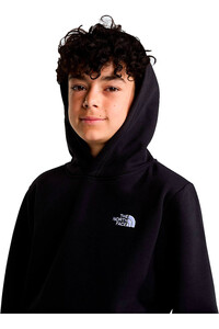 The North Face sudadera niño TEEN EVOLUTION SIMPLE DOME PULLOVER HOOD vista detalle