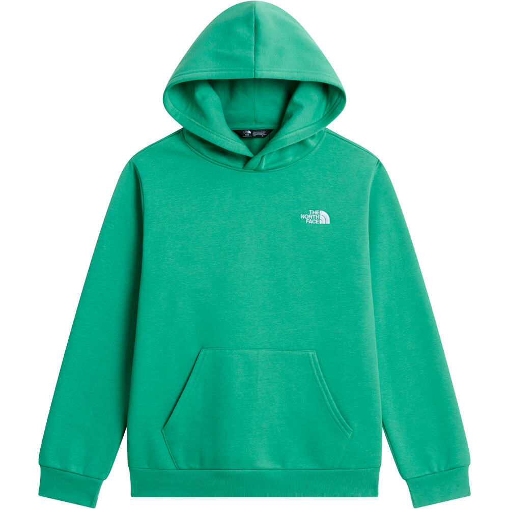 The North Face sudadera niño TEEN EVOLUTION SIMPLE DOME PULLOVER HOOD vista detalle