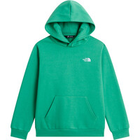 The North Face sudadera niño TEEN EVOLUTION SIMPLE DOME PULLOVER HOOD vista detalle